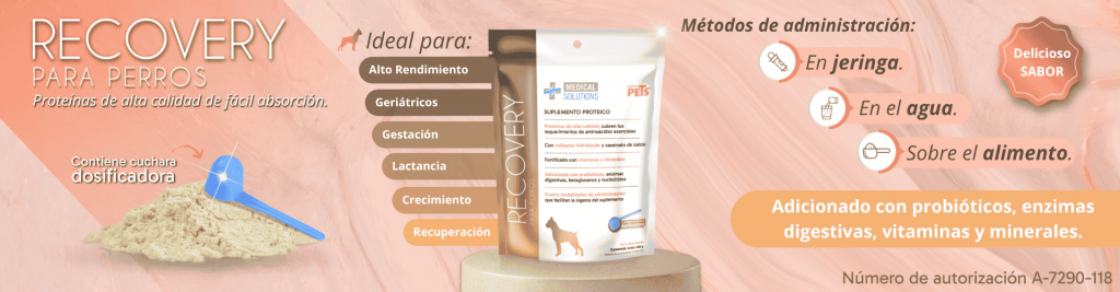 14_RECOVERY (1920 x 500 px) PC