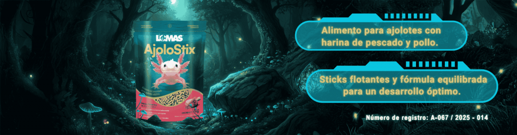 15_AjoloStix (1920 x 500 px) PC