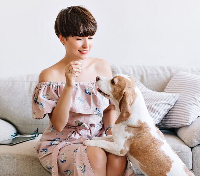 img-infoBox img-infoBox