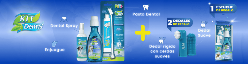 8_kit_Dental_FP (1920 x 500 px)