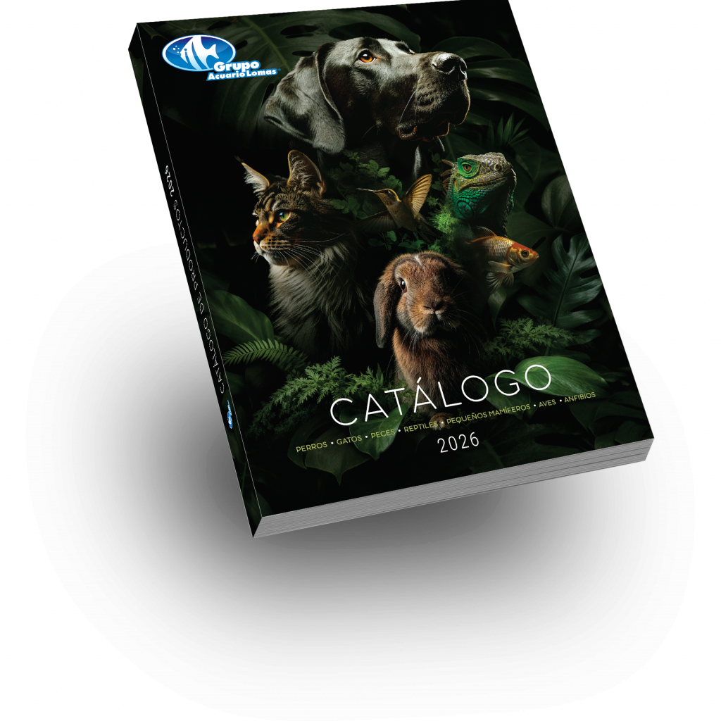 Mockup_portada_catálogo_2026