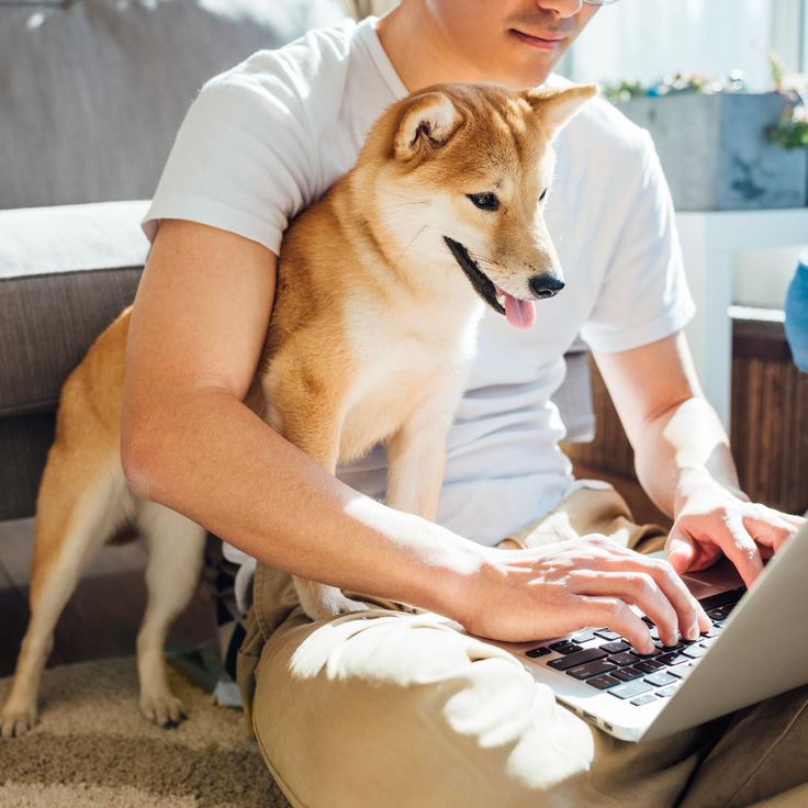 Results will be emailed to you within days!