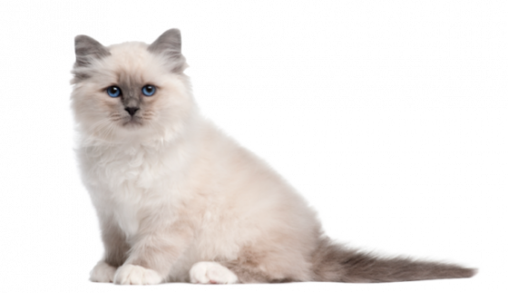 nuestros-productos-2